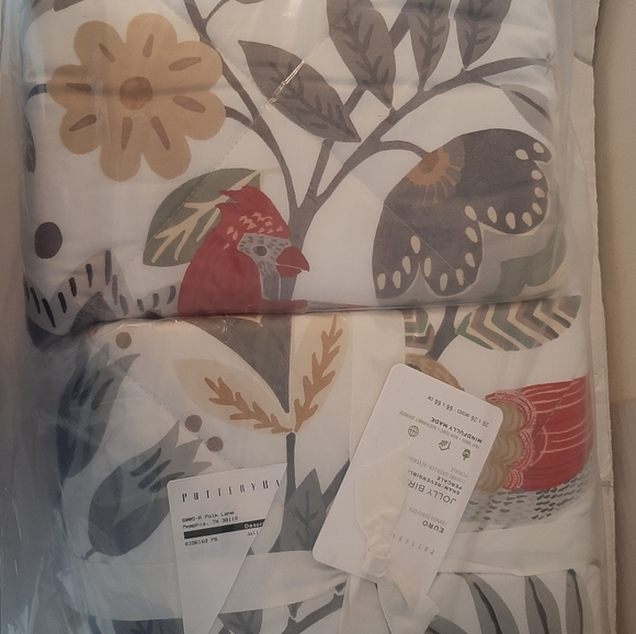 Pottery Barn RARE Jolly Bird Quilted EURO shams (2 shams) - Picture 6 of 8